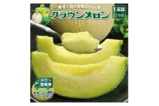 ＜毎月定期便＞クラウンメロン(白等級) 1玉全11回【4069726】