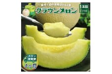 ＜毎月定期便＞クラウンメロン(白等級) 1玉全4回【4069720】