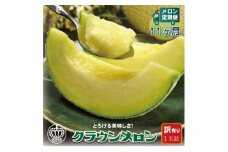 ＜毎月定期便＞＜訳あり＞クラウンメロン 1玉 全11回【4069736】