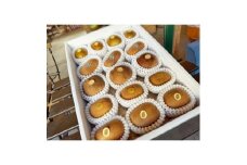 掛川産 カラフルキウイ 5種・15個～18個セット:キウイフルーツカントリーJapan　5887【1652650】