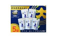 希少品種茶こみなみ「水出し煎茶ティーバッグ詰合せ」(4g×20)×5袋【1652804】