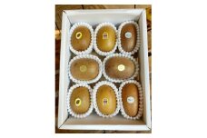 掛川産カラフルキウイ4種8～9個セット11月～3月限定 キウイフルーツカントリーJapan　5883【1652671】