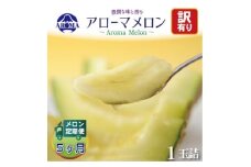 ＜毎月定期便＞＜訳あり＞アローマメロン 1玉　全5回【4072003】