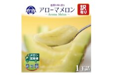 ＜毎月定期便＞＜訳あり＞クラウンメロン 1玉　全9回【4071999】