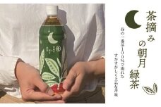 お茶 ペットボトル 500ml 24本 緑茶 一番茶 静岡茶 茶葉 人気 箱 朝摘み 朝月 常備 保存 備蓄 防災 まとめ買い 丸七製茶 ななや 静岡県 藤枝市 ふるさと人気 