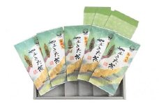 煎茶 茶葉 100g × 5袋 セット 小分け ( お茶 静岡県産 日本茶 飲料 健康 家庭用 贈答 贈り物 ギフト プレゼント ) 静岡県 藤枝市