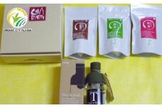 お茶 ティー バッグ 詰合せ 3種 × 各1袋 フィルターインボトル 付き 紅茶 日本茶 パック 飲料 烏龍茶 ウーロン茶
