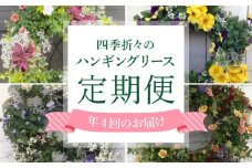 【年4回定期便】 花 ハンギング リース 花苗 植物 ガーデニング おまかせ 寄植え 季節 花 プレゼント インテリア フラワー 定期便 頒布会 [4565571]