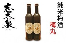 梅酒 500ml × 2本 セット 志太泉 純米 梅丸 お酒 地酒 うめ アルコール 飲料 家飲み 宅飲み 飲み会 晩酌 静岡県 藤枝市