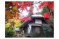 紅葉がきれいな不動峡をすすむと水車むらがあります。