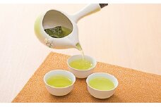 お茶 緑茶 ティーバッグ パック 静岡茶 日本茶 健康茶 茶葉 おちゃ 贈答 ギフト プレゼント お土産 静岡県 藤枝市 