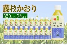 お茶 ペットボトル 緑茶 藤枝かおり 350ml × 24本 静岡茶 茶葉 おちゃ 箱 まとめ買い 飲料水 常備 防災 飲み物 飲料 備蓄 保存 災害 静岡県 藤枝市 ふるさと人気 