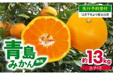 【 先行予約 : 12月下旬～1月下旬発送予定 】みかん 13kg 青島 特大 ミカン 果物 国産 フルーツ 柑橘 静岡県産 蜜柑 ビタミン 美味しい 静岡県 藤枝市