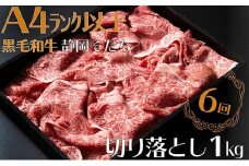 【定期便】全 6回 6ヶ月 牛肉 1kg 切り落とし すき焼き用 厳選 肉 国産 和牛 静岡そだち お肉 すき焼き 焼き肉 しゃぶしゃぶ BBQ  静岡県 藤枝市 