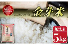 お米 金芽米 5kg お茶 80g セット きぬむすめ 無洗米 静岡県産 5キロ ごはん ご飯 精米 白米 食品 おこめ 糖質オフ お茶の葉 煎茶 静岡県 藤枝市 