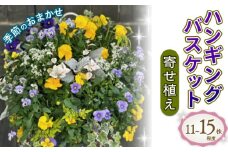 ハンギング バスケット 花苗 おまかせ 寄せ植え 季節 お花 ガーデニング 園芸 植物 生花 ギフト 贈り物 寄植え [4756345]