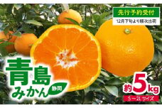 【 先行予約 : 2025年12月下旬発送予定 】 静岡県産 青島 みかん S～2L 約 5kg 果物 国産 フルーツ 柑橘 蜜柑 ミカン ビタミン 静岡県 藤枝市 