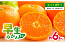 【 先行予約 : 2025年10月下旬～発送予定 】 早生 みかん 6kg 静岡県産 果物 国産 フルーツ 柑橘 蜜柑 ミカン 大小 ミックス 不揃い  温州 ビタミン 美味しい