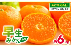 【 先行予約 : 2025年10月下旬～発送予定 】 早生 みかん 6kg 静岡県産 果物 国産 フルーツ 柑橘 蜜柑 ミカン 大小 ミックス 不揃い  温州 ビタミン 美味しい