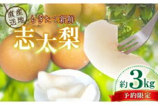 【先行予約：2025年8月以降出荷】 梨 3kg 志太梨 静岡県産 果物 フルーツ 産地 直送 家庭用 なし 藤枝産梨 甘い梨 貴重種梨 限定梨 旬の梨 静岡県 藤枝市