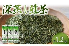 緑茶 茶葉 深蒸し茶 1.2kg 400g×3袋 岡部茶 静岡県産 抗酸化作用 カテキン 静岡県 藤枝市 ふるさと人気