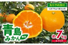【 先行予約 : 2025年12月下旬発送予定 】 静岡県産 特大 青島 みかん 3L 約 7kg 果物 国産 フルーツ 柑橘 蜜柑 ミカン ビタミン 静岡県 藤枝市