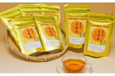 烏龍茶 ティー バッグ 10P × 10袋 お茶 飲み物 飲料 ウーロン茶 パック 10包 ホット アイス 静岡県 藤枝市 