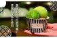 抹茶ジェラートで大人気の抹茶スイーツ
