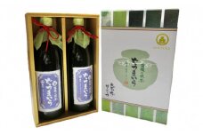 藤枝 の 抹茶シロップ 「どうまいら」大2本ギフトセット 