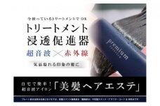 ヘア アイロン コードレス ケアライズ プレミアム ウルトラソニック 超音波 防水 仕様 トリートメント ケア 用品  美容 美容家電 家電 新生活 ヘアエステ プロ向け 充電式 ヘアケア ヘアトリートメント プレゼント ギフト 静岡県 藤枝市 