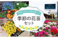 花苗 おすすめ セット 8 ~ 10 ポット ガーデニング 寄せ植え 季節 お花 贈り物 フラワー ギフト 庭園 プランター シーズン おすすめ オススメ 静岡県 藤枝市 