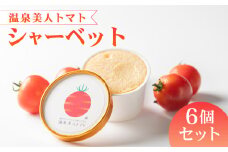 アイス トマト シャーベット 6個 セット お菓子 おやつ 氷菓 デザート スイーツ 温泉 美人 お取り寄せ グルメ ギフト 贈り物  静岡県 藤枝市 