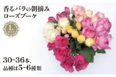 バラ 花束 ブーケ 朝摘み Lサイズ 薔薇 花 ばら パフューム ローズ 生花 ギフト 花 プレゼント 祝い 母の日 卒業式 贈り物 贈答 記念日 朝摘み 香りバラ ギフト  静岡県 藤枝市 