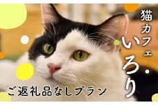 【返礼品なし】 猫 保護 支援 ねこ カフェ いろり ネコ 里親 寄付 ふれあい 動物愛護 募集 静岡県 藤枝市