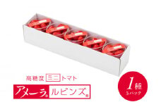   甘い ミニトマト アメーラルビンズ トマト 5パック 高糖度 10度 以上 化粧箱入り 産地 直送 新鮮 旬の 野菜 高級 フルーツトマト ジュース にも 静岡県 藤枝市 