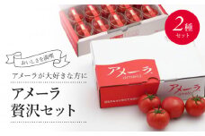 アメーラ トマト ルビンズ 10Pセット  アメーラルビンズ 高糖度 7.5以上 化粧箱入り 産地 直送 新鮮 旬の 野菜 高級 フルーツトマト 甘い 静岡県 藤枝市 