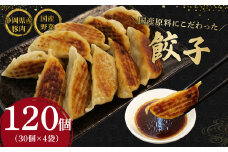 餃子 120個 野菜 豚肉 冷凍 餃子 大きめ ぎょうざ ギョウザ おつまみ  惣菜 中華 惣菜 業務用 おかず ビール ランキング 弁当 簡単調理
