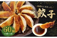 ジャンボ 餃子 60個 国産野菜 国産豚肉 冷凍 餃子 大きめ ぎょうざ ギョウザ ギョーザ おつまみ 冷凍食品 食品 惣菜 中華 惣菜 業務用 おかず ビール 