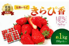 【先行予約 : 2026年1月～2026年2月発送予定 】 いちご きらぴ香 約1kg 約250g×4パック 朝どれ 完熟 苺 産地 直送 フレッシュ イチゴ 贈答 フルーツ 果物 国産 静岡県 藤枝市 ふるさと人気 ふるさとおすすめ
