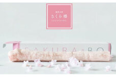 駄菓子 さくら棒 ふ菓子 3本 入り おやつ お菓子 和菓子 スイーツ お取り寄せ グルメ ギフト 贈答 化粧箱 贈り物 プレゼント 祝い 記念日 人気駄菓子 ふるさと納税駄菓子 ふるさと駄菓子 furusato駄菓子 おすすめ駄菓子 送料無料駄菓子 静岡県 藤枝市