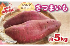 【2025年11月～順次発送予定】 さつまいも シルクスイート 約5kg 期間限定 サツマイモ 焼き芋 イモ 芋 いも 野菜 健康 やさい 人気 おすすめ 静岡県 藤枝市