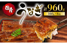 うなぎ 国産 蒲焼 160g × 6尾 計960g 鰻蒲焼 ウナギ 土用 丑の日 JAS認定 活鰻 自家製蒲焼のたれ 山椒 ギフト 贈答 冷凍 養殖 真空パック レンジ 調理 湯煎 まとめ買い 静岡県 藤枝