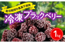 【先行予約：2025年6月末より発送予定】 ブラックベリー 1kg 冷凍 国産 フルーツ 果物 イチゴ いちご 苺 木苺 デザート スイーツ ジャム 手摘み 静岡県 藤枝市