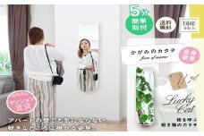 鏡 壁掛け  かがみのカタチBIGねこ 洗面鏡トイレ 洗面所 賃貸 玄関 貼れる 一人暮らし ノンフレーム 北欧 メイク 化粧 DIY シンプル 韓国 インテリア 変形 デザインミラー