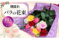バラ 10 本 ミックスカラー 花束 ブーケ 朝摘み 新鮮 薔薇 花 ばら ローズ 生花 ギフト プレゼント 祝い 贈り物 贈答 記念日 静岡県 藤枝市 