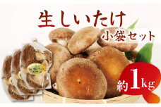 生しいたけ 小分け 袋 約1kg 生 しいたけ シイタケ 椎茸 大ぶり 朝 収穫 食べ応え 厚い 肉厚 うまみ 菌床 栽培期間中 農薬不使用 個包装 
