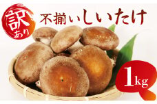 訳あり 不揃い 生しいたけ 1kg 生 しいたけ シイタケ 椎茸 大ぶり 食べ応え 厚い 肉厚 うまみ 栽培期間中 農薬不使用