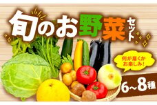 野菜 詰合せ 6～8種 おまかせ 旬 まんさいかん ボックス 静岡県 藤枝市 ( 人気野菜 ふるさと納税野菜 ふるさと野菜 furusato野菜 おすすめ野菜 送料無料野菜 静岡県 藤枝市 )
