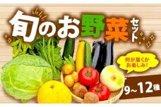 野菜 詰め合わせ おまかせ 野菜詰合せ （9～12種） 野菜 詰合せ 9～12種  旬 まんさいかん ボックス 静岡県 藤枝市 (人気野菜 ふるさと納税野菜 ふるさと野菜 furusato野菜 おすすめ野菜 送料無料野菜 静岡県 藤枝市 ）