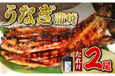 うなぎ 蒲焼 2尾 (140g×2)  蒲焼 鰻蒲焼 ウナギ かばやき 土用 丑の日  活鰻 自家製蒲焼 たれ 山椒 ギフト 贈答   冷蔵 まとめ買い 静岡県 藤枝 ふるさと人気